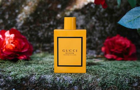 gucci bloom fiori|Gucci Bloom profumo di fiori.